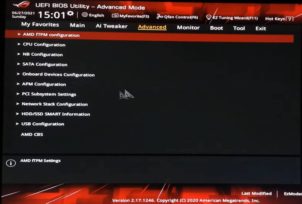 Advanced Section in BIOS