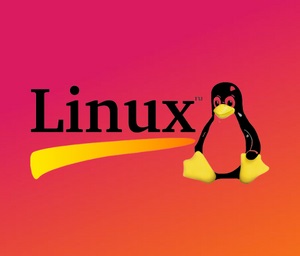 Linux