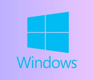 Windows 11